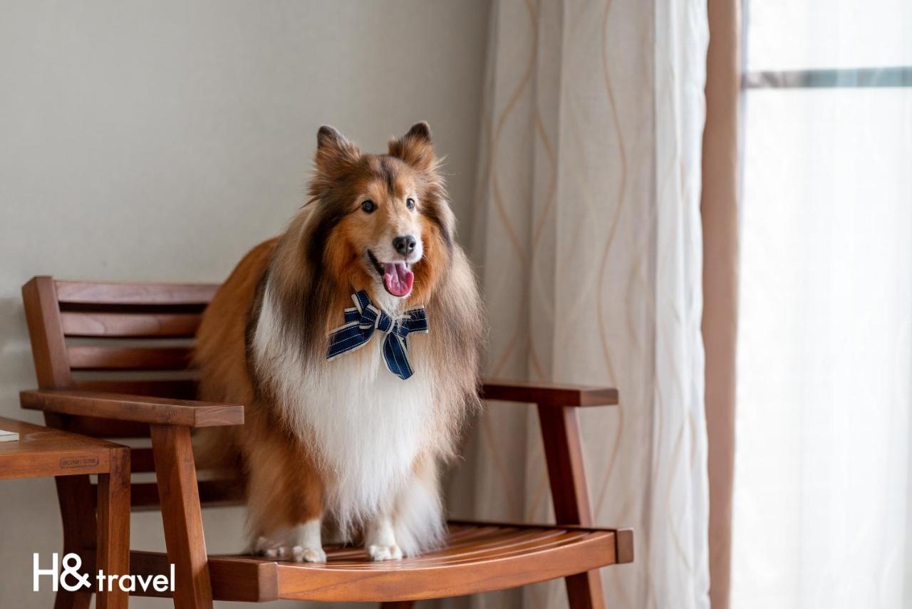 Taitung Rainbow Pet Friendly Maison Resort Εξωτερικό φωτογραφία
