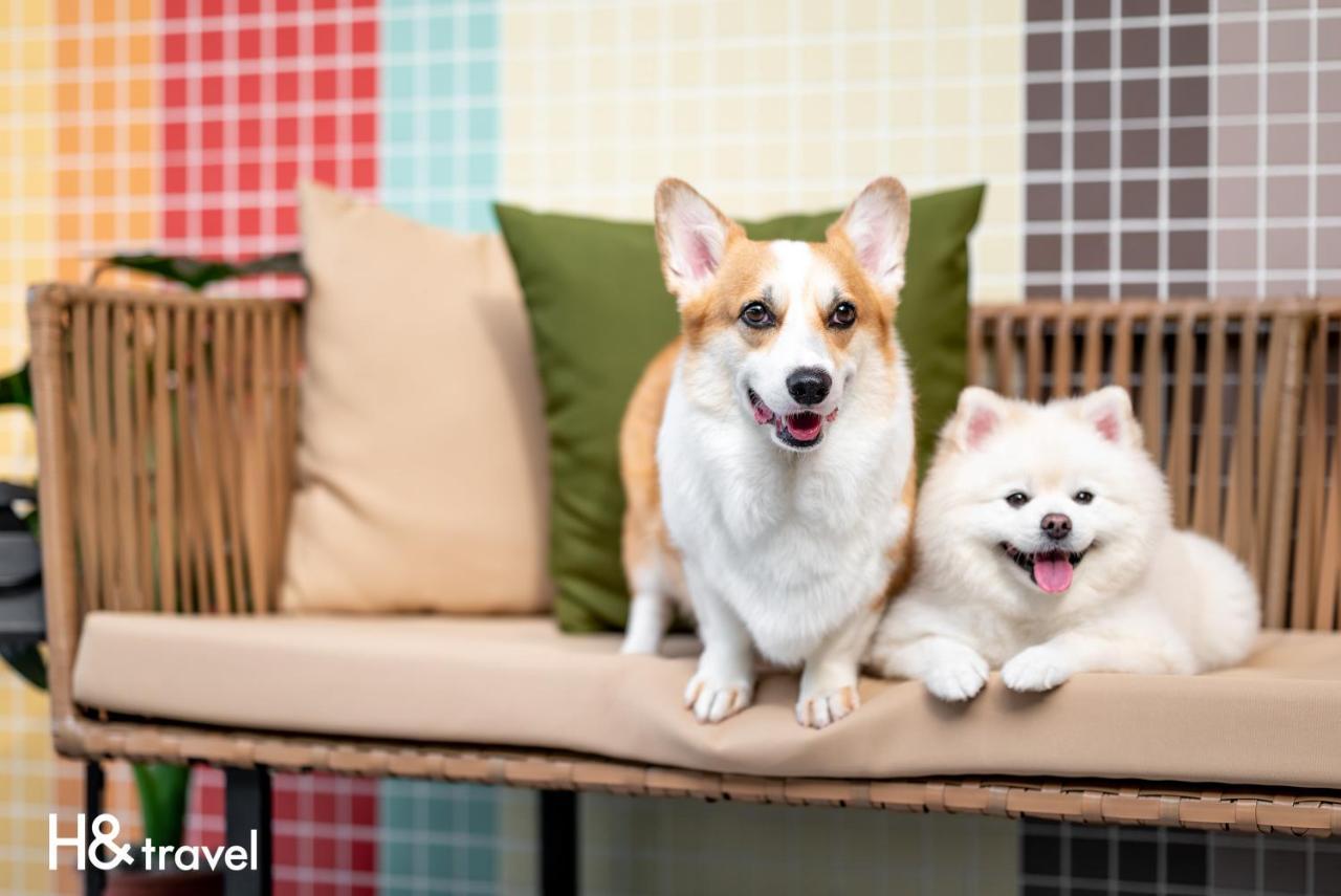 Taitung Rainbow Pet Friendly Maison Resort Εξωτερικό φωτογραφία