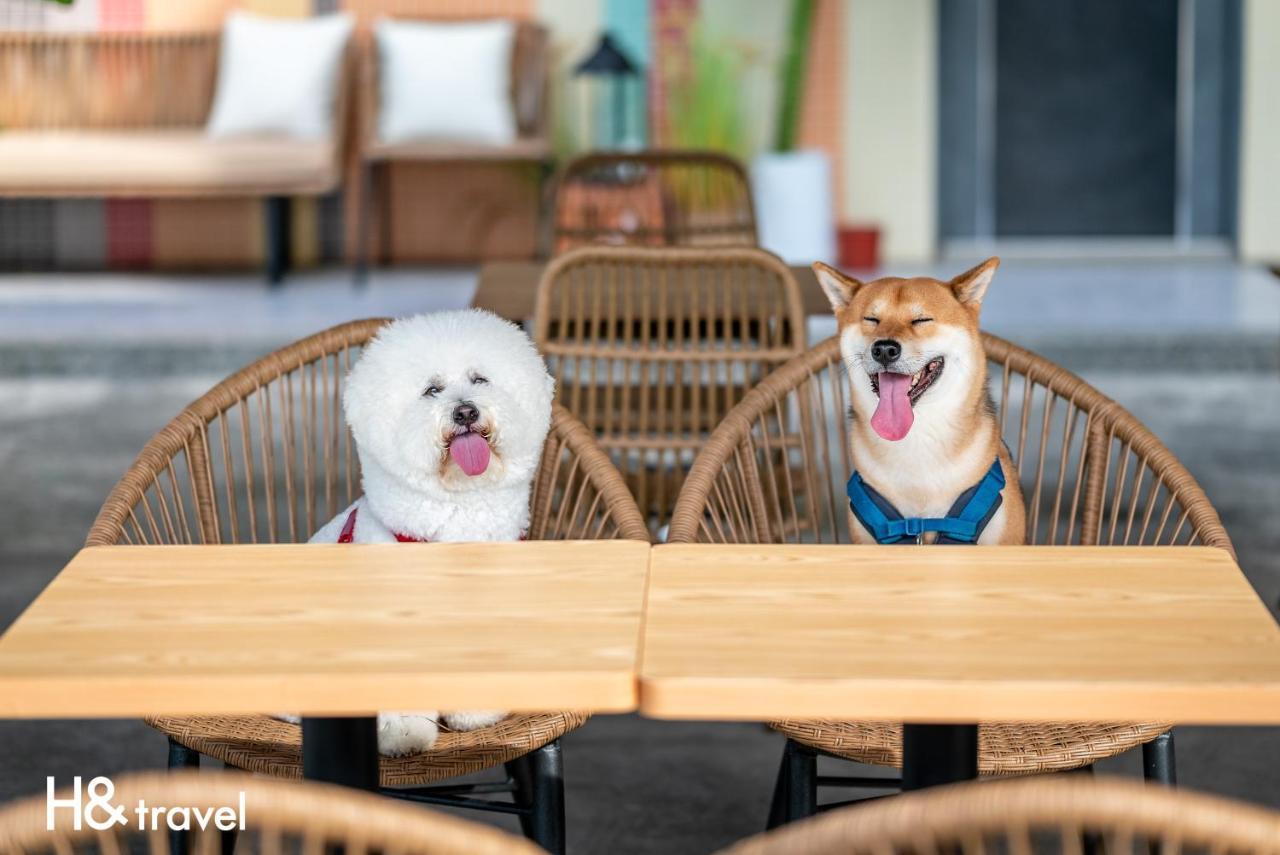 Taitung Rainbow Pet Friendly Maison Resort Εξωτερικό φωτογραφία