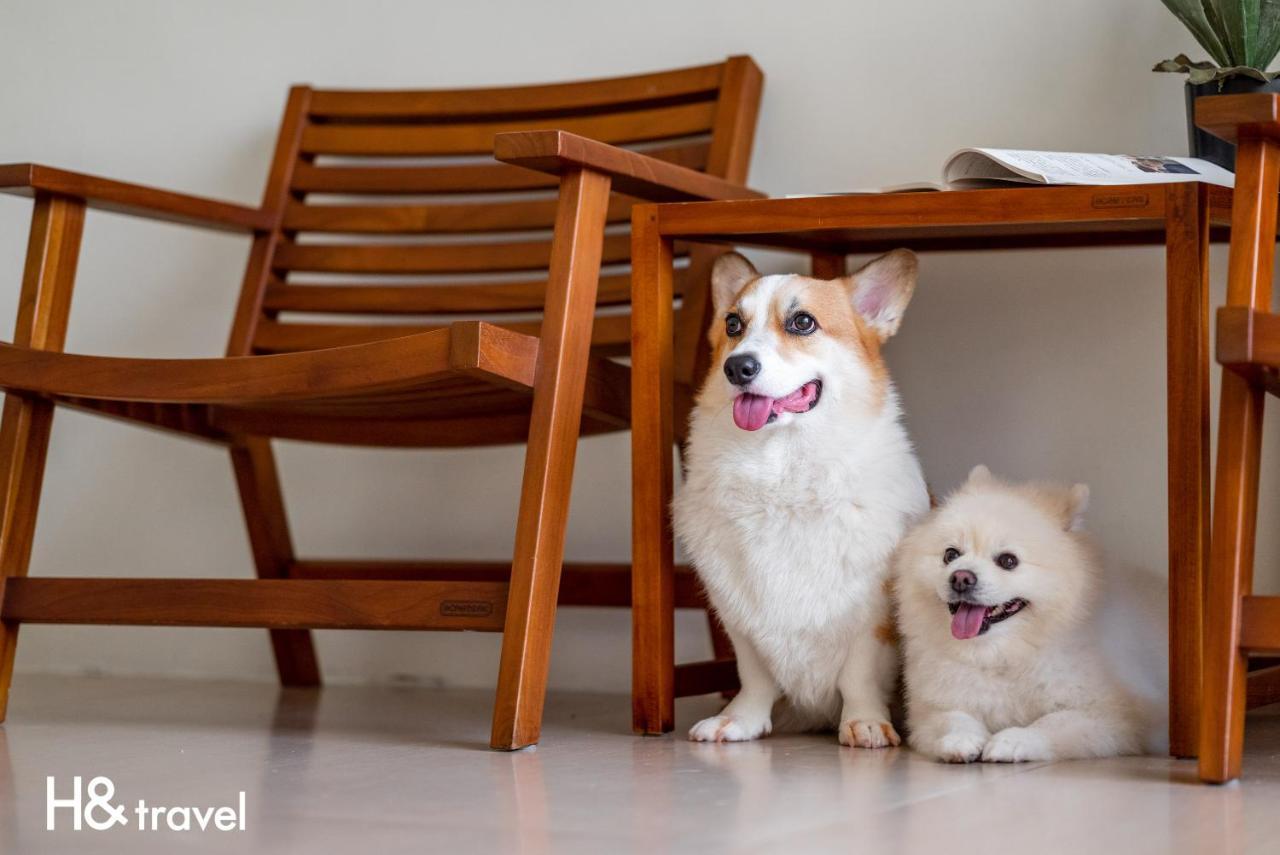 Taitung Rainbow Pet Friendly Maison Resort Εξωτερικό φωτογραφία