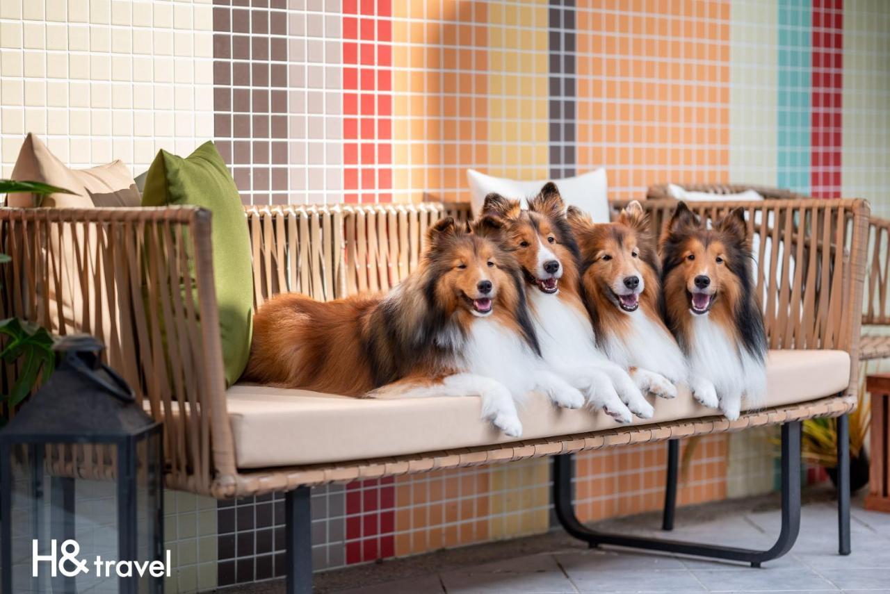 Taitung Rainbow Pet Friendly Maison Resort Εξωτερικό φωτογραφία