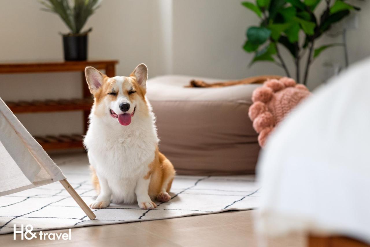 Taitung Rainbow Pet Friendly Maison Resort Εξωτερικό φωτογραφία