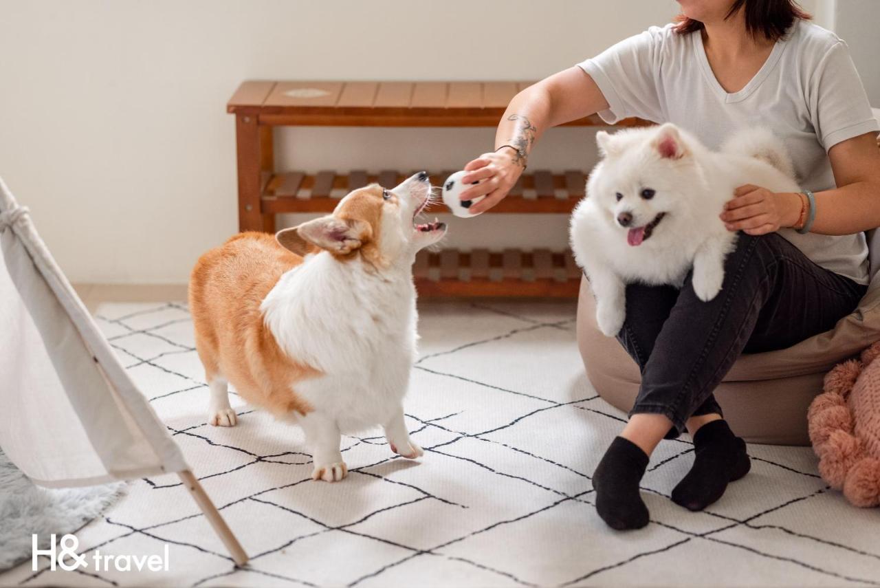 Taitung Rainbow Pet Friendly Maison Resort Εξωτερικό φωτογραφία