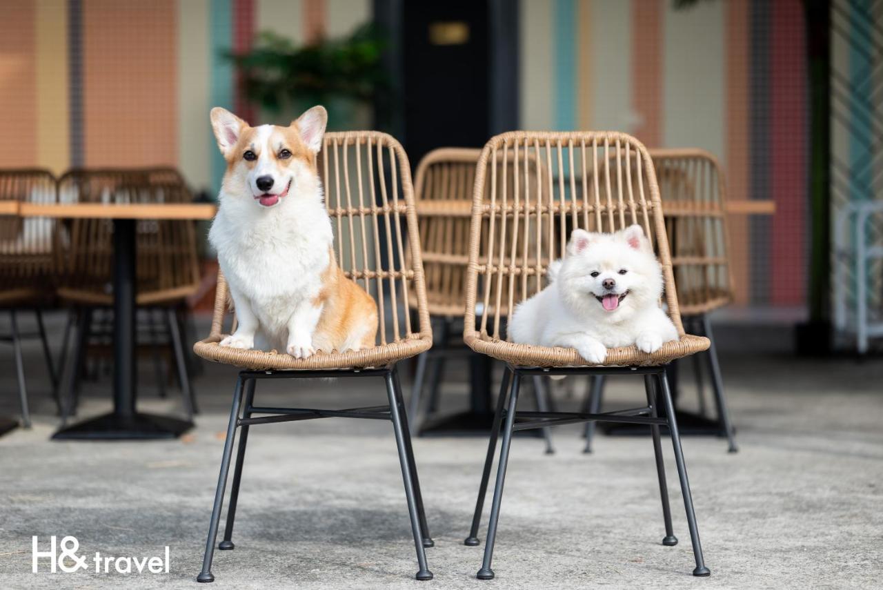 Taitung Rainbow Pet Friendly Maison Resort Εξωτερικό φωτογραφία